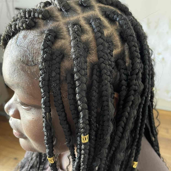 salon de coiffure afro tresse tresses box braids crochet braids vanilles tissages paris 75 77 78 91 92 93 94 95 SVOYZVDK