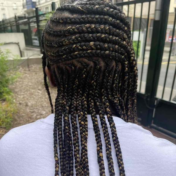 salon de coiffure afro tresse tresses box braids crochet braids vanilles tissages paris 75 77 78 91 92 93 94 95 YXMTOHYW