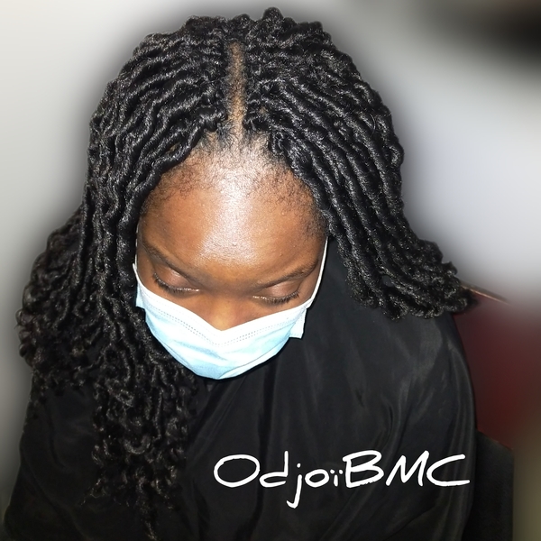 salon de coiffure afro tresse tresses box braids crochet braids vanilles tissages paris 75 77 78 91 92 93 94 95 RAMNWCKP
