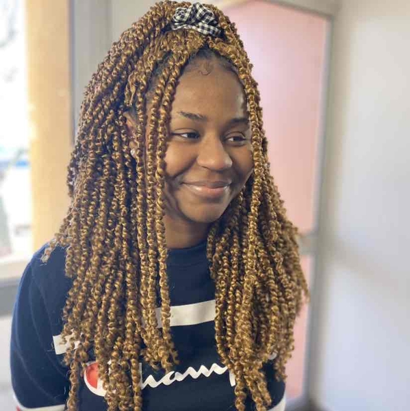 salon de coiffure afro tresse tresses box braids crochet braids vanilles tissages paris 75 77 78 91 92 93 94 95 LPNDWHFT