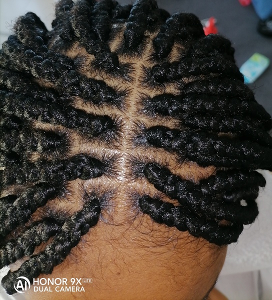 salon de coiffure afro tresse tresses box braids crochet braids vanilles tissages paris 75 77 78 91 92 93 94 95 FAAHNELC