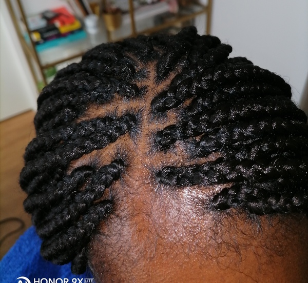 salon de coiffure afro tresse tresses box braids crochet braids vanilles tissages paris 75 77 78 91 92 93 94 95 HGMMTXPU