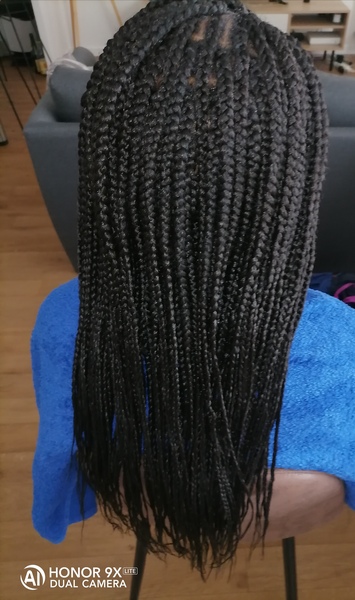salon de coiffure afro tresse tresses box braids crochet braids vanilles tissages paris 75 77 78 91 92 93 94 95 SGOBPPPP