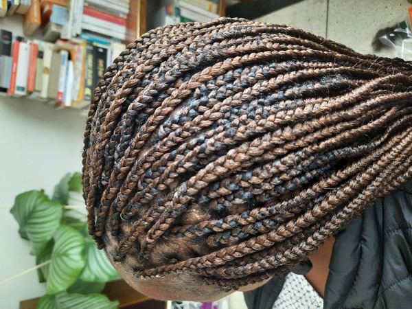 salon de coiffure afro tresse tresses box braids crochet braids vanilles tissages paris 75 77 78 91 92 93 94 95 YQFTPDKO