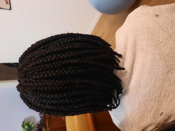 salon de coiffure afro tresse tresses box braids crochet braids vanilles tissages paris 75 77 78 91 92 93 94 95 MALYKRDJ