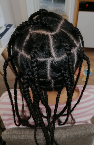 salon de coiffure afro tresse tresses box braids crochet braids vanilles tissages paris 75 77 78 91 92 93 94 95 UCPCGJOF