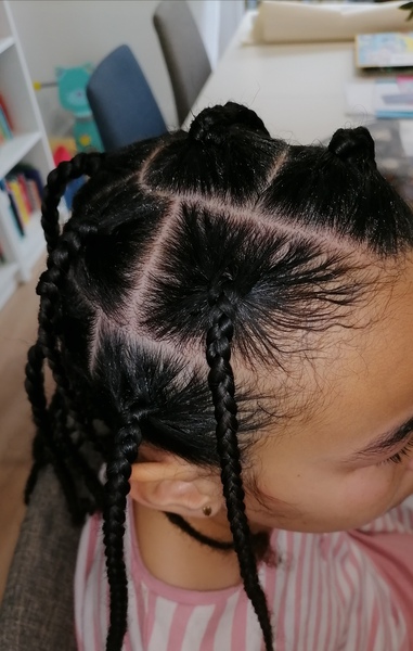 salon de coiffure afro tresse tresses box braids crochet braids vanilles tissages paris 75 77 78 91 92 93 94 95 HFUHBIIT
