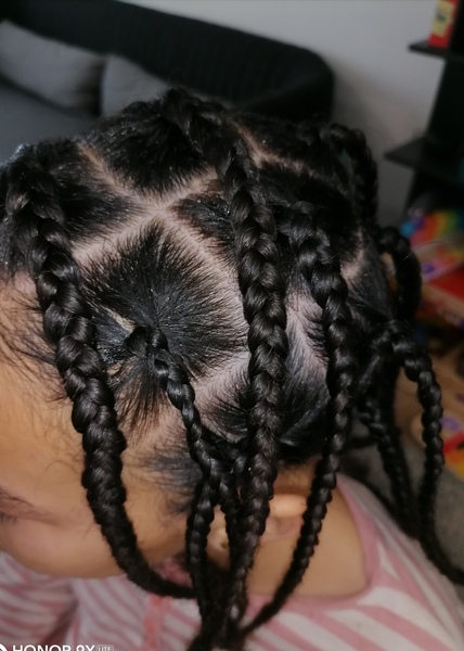 salon de coiffure afro tresse tresses box braids crochet braids vanilles tissages paris 75 77 78 91 92 93 94 95 ZFOTROJB