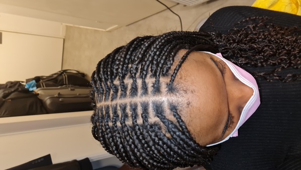 salon de coiffure afro tresse tresses box braids crochet braids vanilles tissages paris 75 77 78 91 92 93 94 95 HQQBGBPI