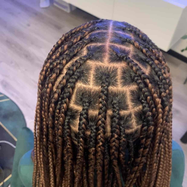 salon de coiffure afro tresse tresses box braids crochet braids vanilles tissages paris 75 77 78 91 92 93 94 95 EHPREIBF