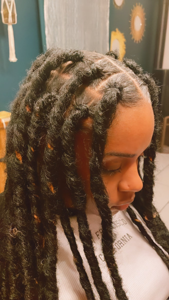 salon de coiffure afro tresse tresses box braids crochet braids vanilles tissages paris 75 77 78 91 92 93 94 95 ENMPMQVN