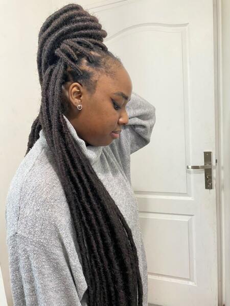 salon de coiffure afro tresse tresses box braids crochet braids vanilles tissages paris 75 77 78 91 92 93 94 95 ZQBPBCOQ