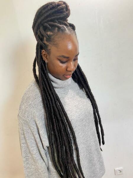 salon de coiffure afro tresse tresses box braids crochet braids vanilles tissages paris 75 77 78 91 92 93 94 95 YSHJOXKH