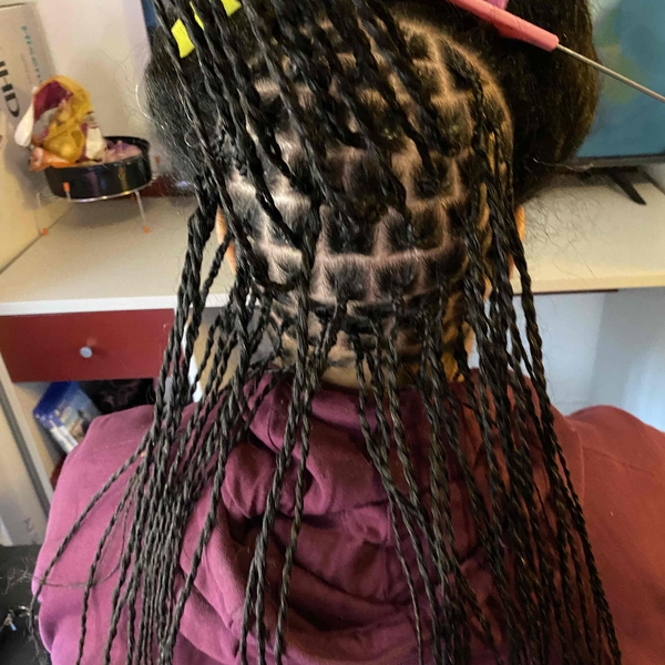 salon de coiffure afro tresse tresses box braids crochet braids vanilles tissages paris 75 77 78 91 92 93 94 95 BPYBJFIL