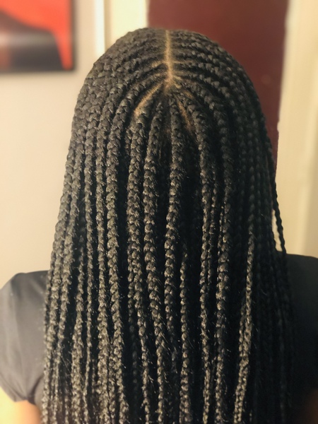 salon de coiffure afro tresse tresses box braids crochet braids vanilles tissages paris 75 77 78 91 92 93 94 95 HLFKLFIH