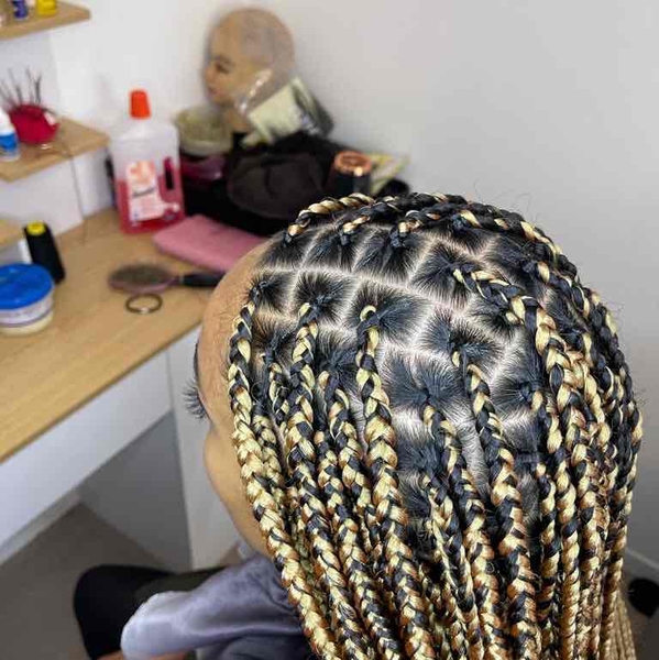 salon de coiffure afro tresse tresses box braids crochet braids vanilles tissages paris 75 77 78 91 92 93 94 95 GXJICMMB