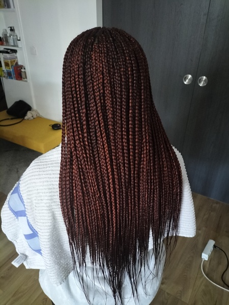 salon de coiffure afro tresse tresses box braids crochet braids vanilles tissages paris 75 77 78 91 92 93 94 95 ADRUCUXJ