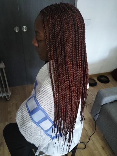 salon de coiffure afro tresse tresses box braids crochet braids vanilles tissages paris 75 77 78 91 92 93 94 95 FRZEUBRU