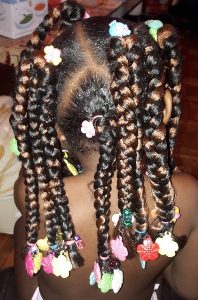 salon de coiffure afro tresse tresses box braids crochet braids vanilles tissages paris 75 77 78 91 92 93 94 95 SIPCHVKX