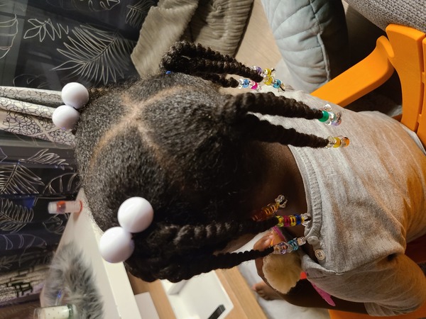salon de coiffure afro tresse tresses box braids crochet braids vanilles tissages paris 75 77 78 91 92 93 94 95 CLRQBNPE