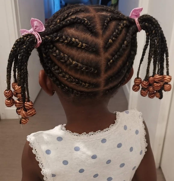salon de coiffure afro tresse tresses box braids crochet braids vanilles tissages paris 75 77 78 91 92 93 94 95 MEJEPEBH