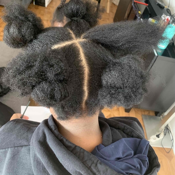 salon de coiffure afro tresse tresses box braids crochet braids vanilles tissages paris 75 77 78 91 92 93 94 95 RXCTCCVI
