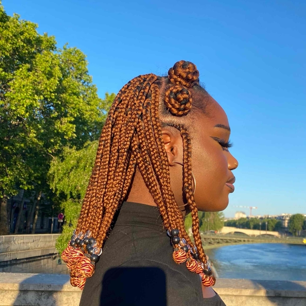 salon de coiffure afro tresse tresses box braids crochet braids vanilles tissages paris 75 77 78 91 92 93 94 95 JRJWYWJE