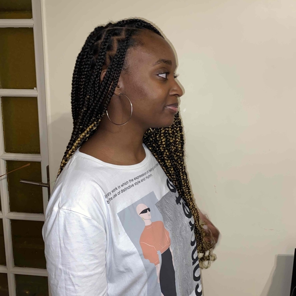 salon de coiffure afro tresse tresses box braids crochet braids vanilles tissages paris 75 77 78 91 92 93 94 95 IEGRICGM