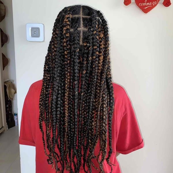 salon de coiffure afro tresse tresses box braids crochet braids vanilles tissages paris 75 77 78 91 92 93 94 95 KWGFYPHP