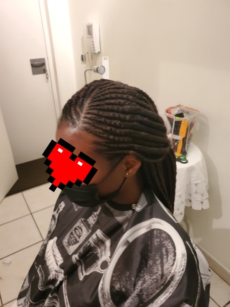 salon de coiffure afro tresse tresses box braids crochet braids vanilles tissages paris 75 77 78 91 92 93 94 95 XBJXYTHN