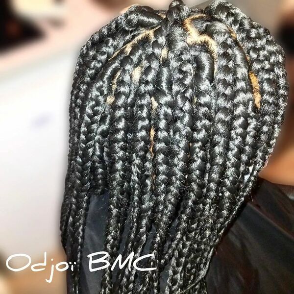 salon de coiffure afro tresse tresses box braids crochet braids vanilles tissages paris 75 77 78 91 92 93 94 95 UEBWLJHI