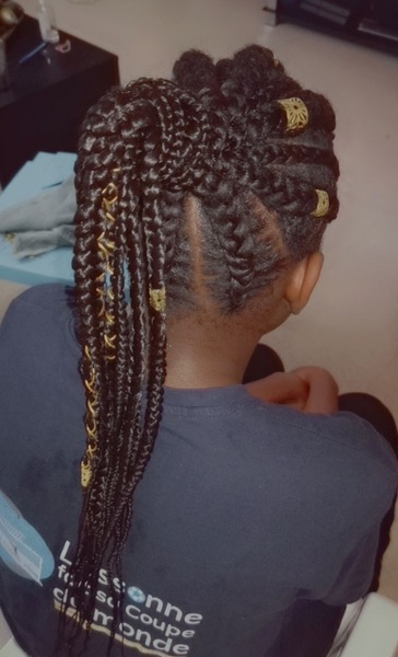 salon de coiffure afro tresse tresses box braids crochet braids vanilles tissages paris 75 77 78 91 92 93 94 95 NHNKANWW