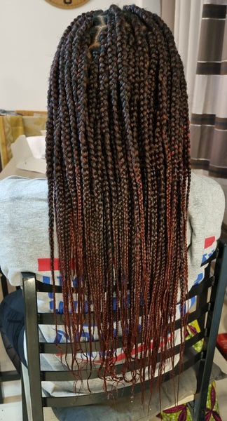 salon de coiffure afro tresse tresses box braids crochet braids vanilles tissages paris 75 77 78 91 92 93 94 95 NWHMNGUJ