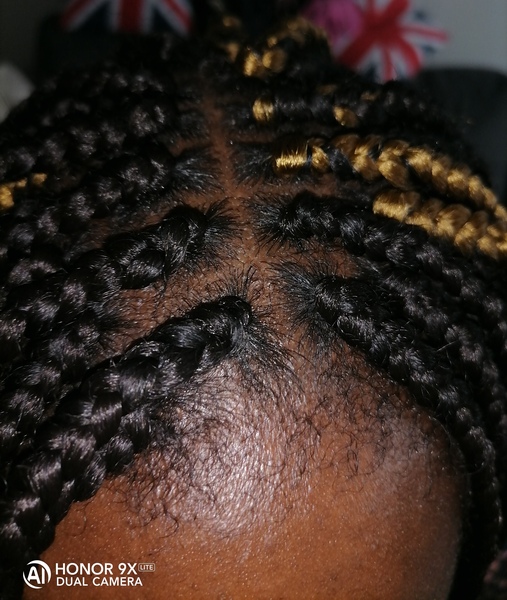salon de coiffure afro tresse tresses box braids crochet braids vanilles tissages paris 75 77 78 91 92 93 94 95 XWNANALY