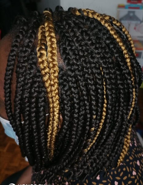 salon de coiffure afro tresse tresses box braids crochet braids vanilles tissages paris 75 77 78 91 92 93 94 95 IMKTCBAZ