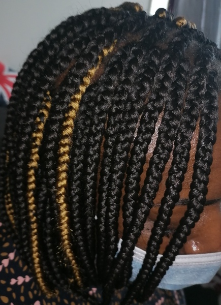 salon de coiffure afro tresse tresses box braids crochet braids vanilles tissages paris 75 77 78 91 92 93 94 95 RLONVOXZ