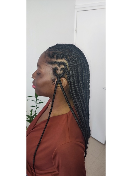 salon de coiffure afro tresse tresses box braids crochet braids vanilles tissages paris 75 77 78 91 92 93 94 95 XZTWOEOB