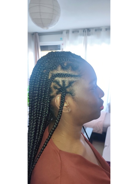 salon de coiffure afro tresse tresses box braids crochet braids vanilles tissages paris 75 77 78 91 92 93 94 95 XQQZFXDH
