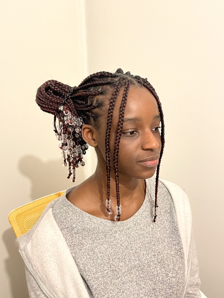 salon de coiffure afro tresse tresses box braids crochet braids vanilles tissages paris 75 77 78 91 92 93 94 95 QBQGIAOE