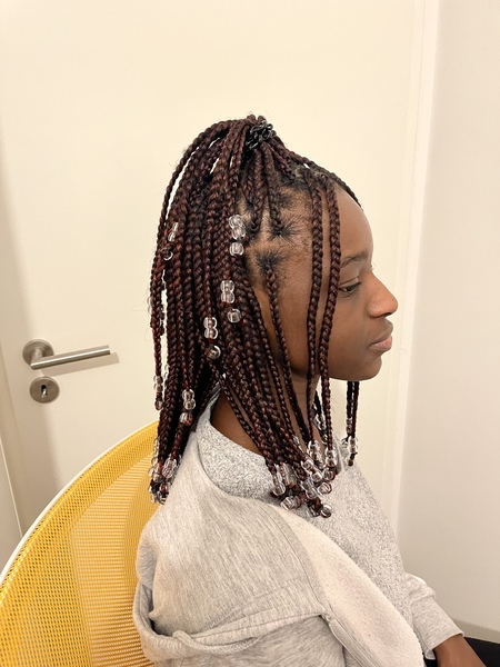 salon de coiffure afro tresse tresses box braids crochet braids vanilles tissages paris 75 77 78 91 92 93 94 95 VZGIMNQD