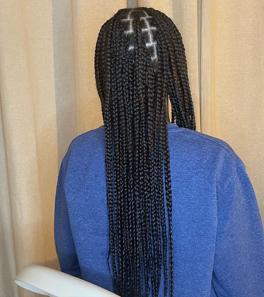 salon de coiffure afro tresse tresses box braids crochet braids vanilles tissages paris 75 77 78 91 92 93 94 95 XAATQRMW
