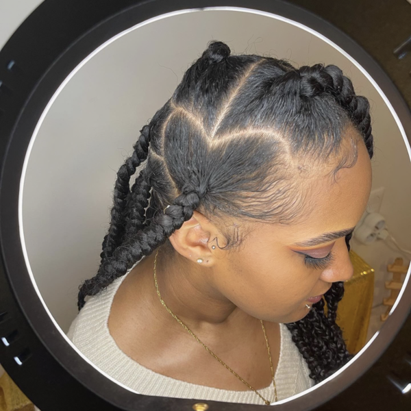 salon de coiffure afro tresse tresses box braids crochet braids vanilles tissages paris 75 77 78 91 92 93 94 95 YTSLLYMQ