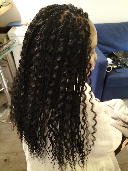 salon de coiffure afro tresse tresses box braids crochet braids vanilles tissages paris 75 77 78 91 92 93 94 95 ZGXWANPP