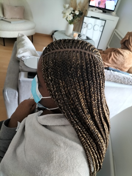 salon de coiffure afro tresse tresses box braids crochet braids vanilles tissages paris 75 77 78 91 92 93 94 95 APBVGIMS