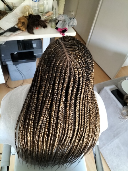salon de coiffure afro tresse tresses box braids crochet braids vanilles tissages paris 75 77 78 91 92 93 94 95 BKGKRYRH