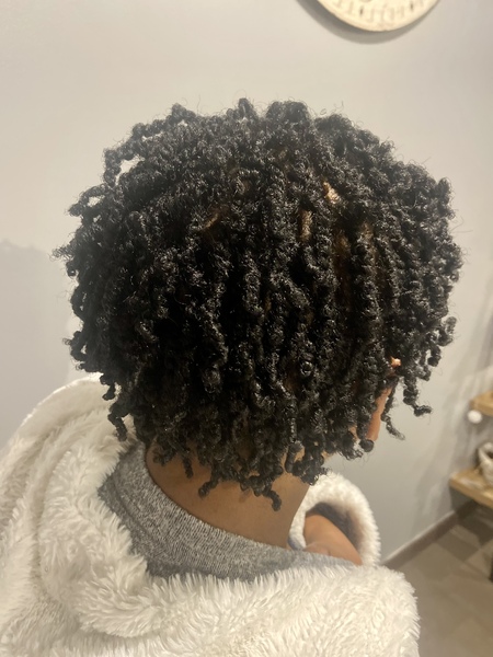 salon de coiffure afro tresse tresses box braids crochet braids vanilles tissages paris 75 77 78 91 92 93 94 95 WPIXIRQN