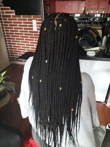 salon de coiffure afro tresse tresses box braids crochet braids vanilles tissages paris 75 77 78 91 92 93 94 95 ZJWTWZJL