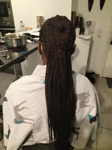 salon de coiffure afro tresse tresses box braids crochet braids vanilles tissages paris 75 77 78 91 92 93 94 95 PWBMXGEB