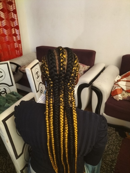 salon de coiffure afro tresse tresses box braids crochet braids vanilles tissages paris 75 77 78 91 92 93 94 95 TDDJFZNX