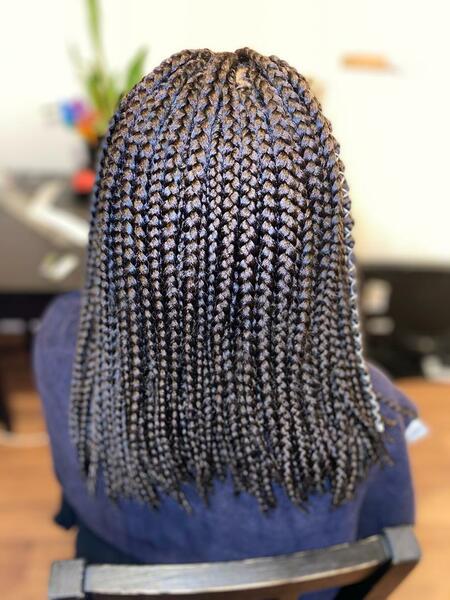 salon de coiffure afro tresse tresses box braids crochet braids vanilles tissages paris 75 77 78 91 92 93 94 95 NAENGXQS